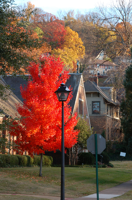 Birmingham in fall.jpg